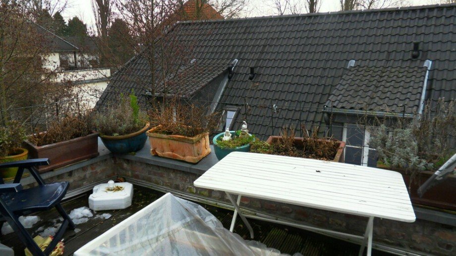 Dachterrasse Mehrfamilienhaus Bergisch Gladbach
