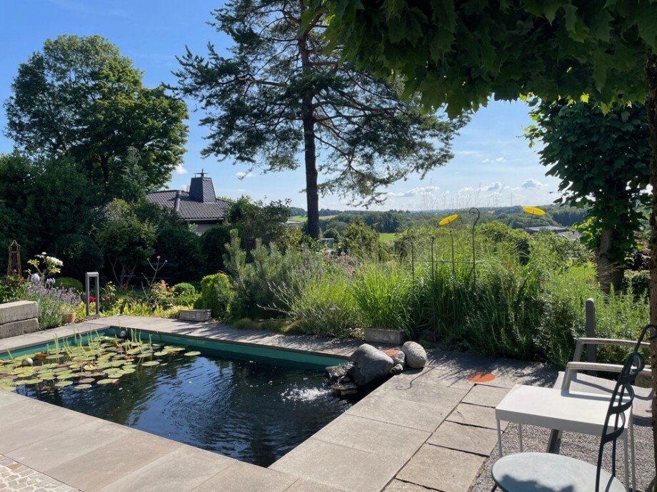 Teich im Sommer Haus Wuppertal